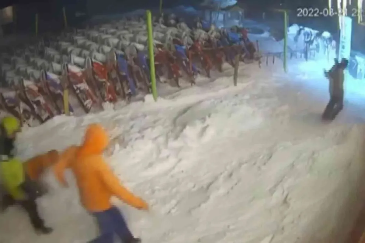 Ayı ile böyle göz göze geldiler...Uludağda ayı paniği kamerada