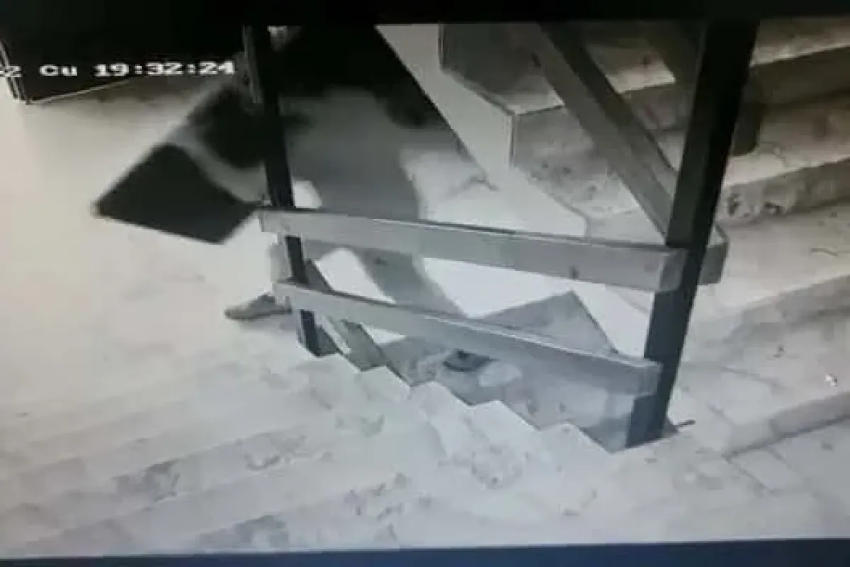 Kameralara aldırmadan televizyonu böyle çaldı
