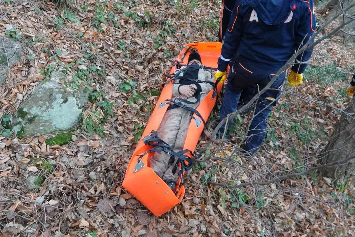 Uludağın ormanlarında 12 saatlik can pazarı