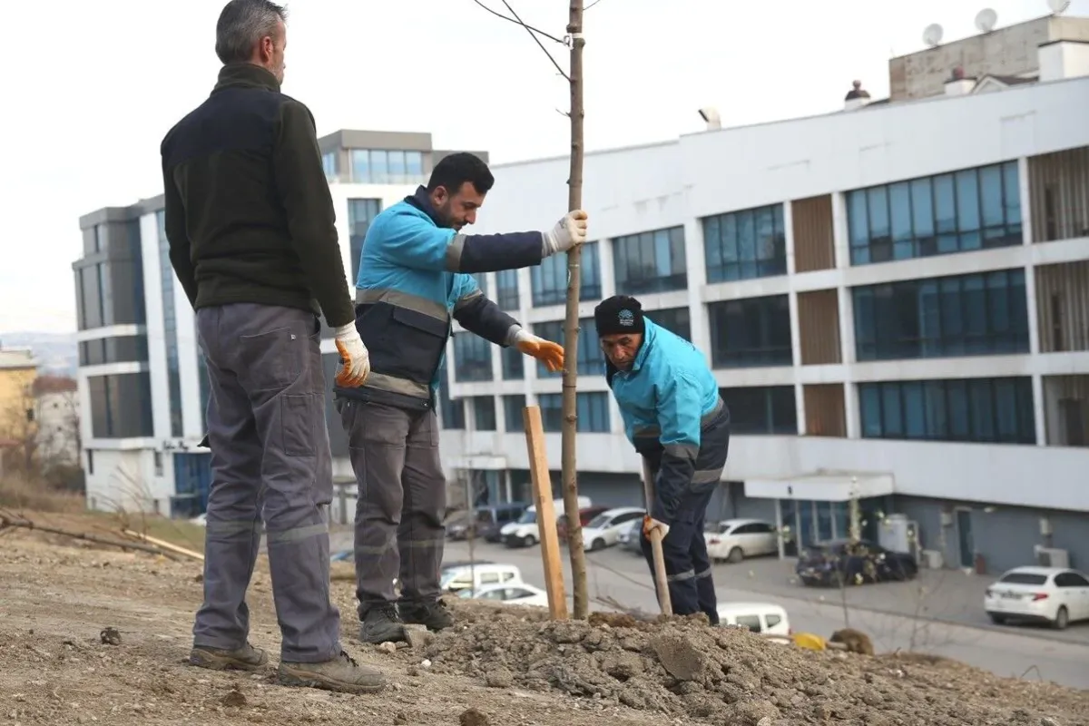 Nilüferde ağaçlandırma çalışmaları başladı