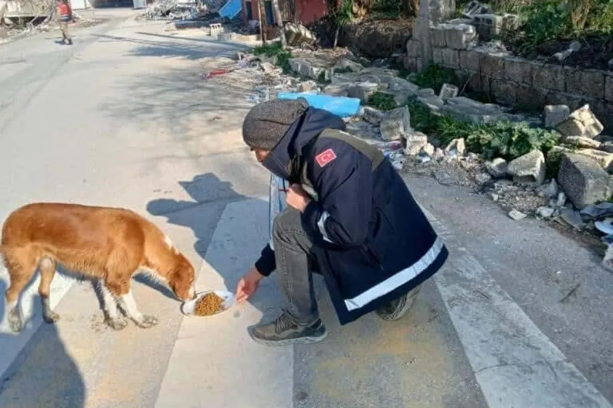 Afet bölgesindeki can dostlara Osmangazi şefkati