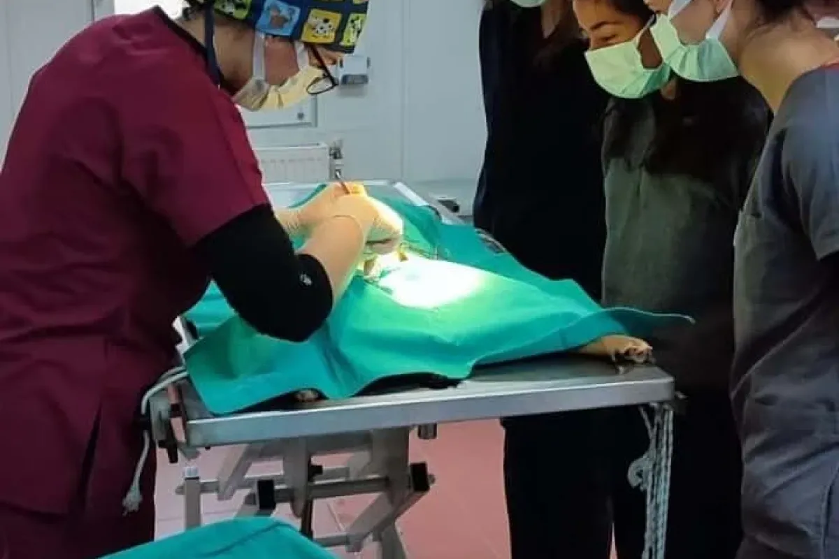 Veteriner fakültesi öğrencilerine uygulamalı eğitim