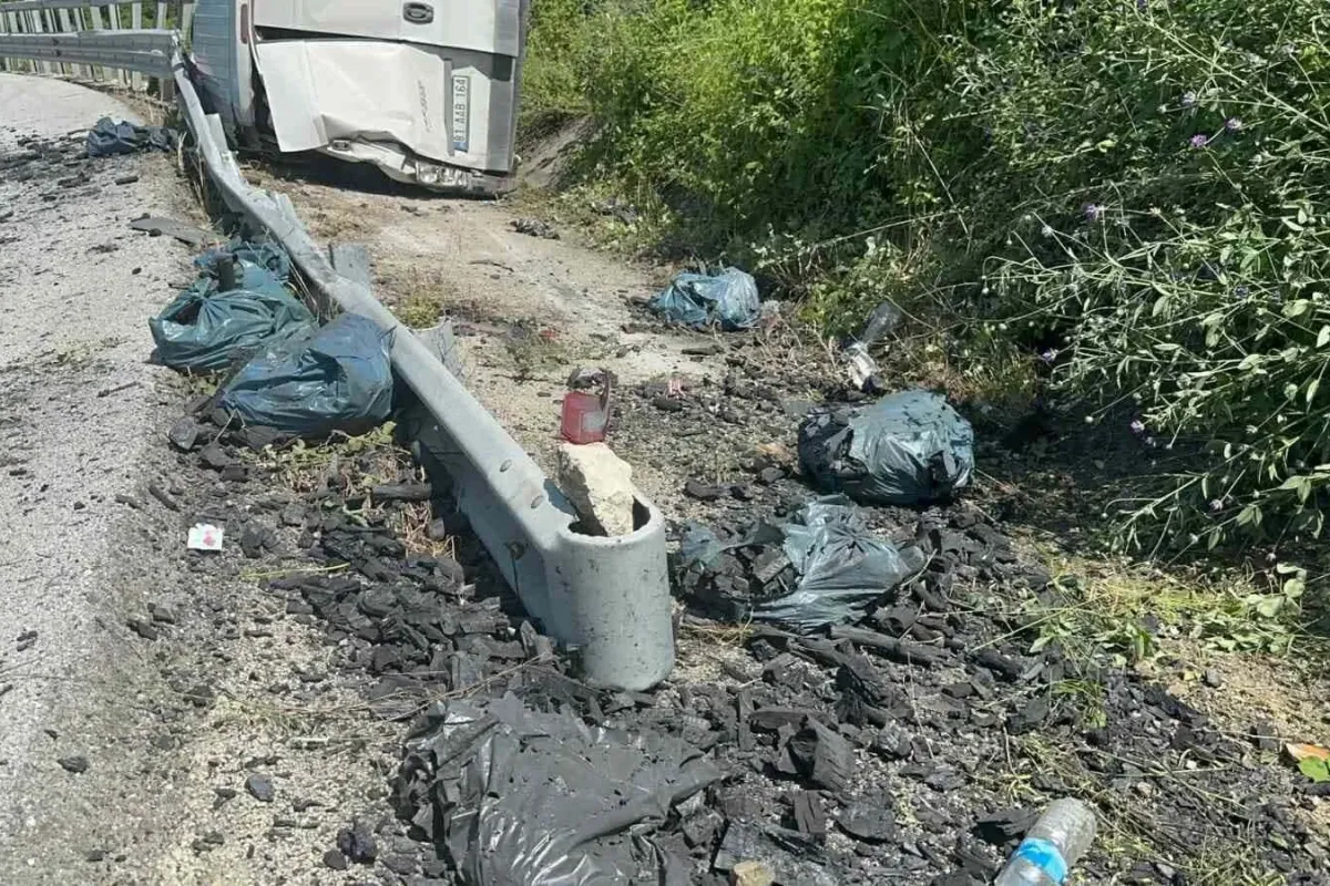 Kömür yüklü kamyonet virajı alamadı: 1 yaralı