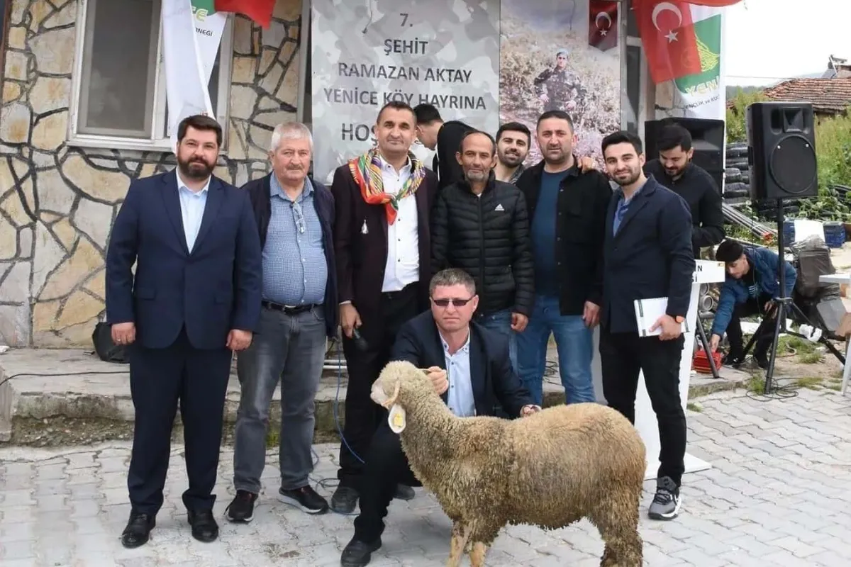 Ağalık yarışında kuzu rekor fiyata satıldı