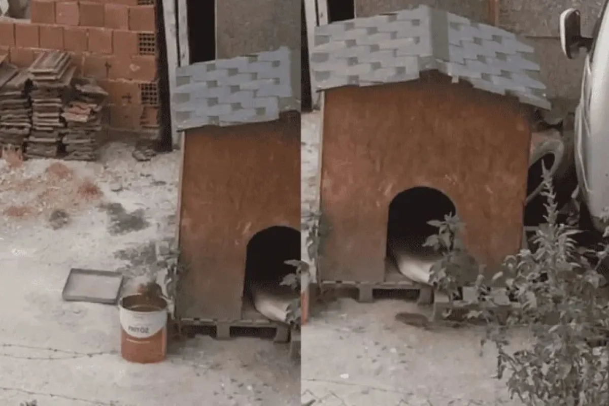 İnegölde o sokağı fareler bastı