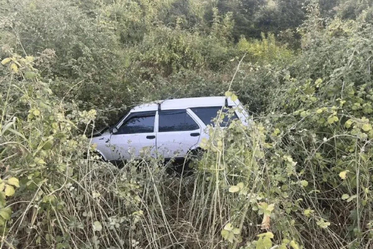 Otomobil şarampole uçtu, 4 yaralı