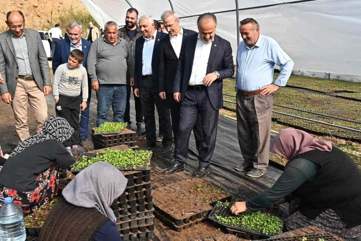 Bursanın çiçekleri, dağ bölgesinde açıyor