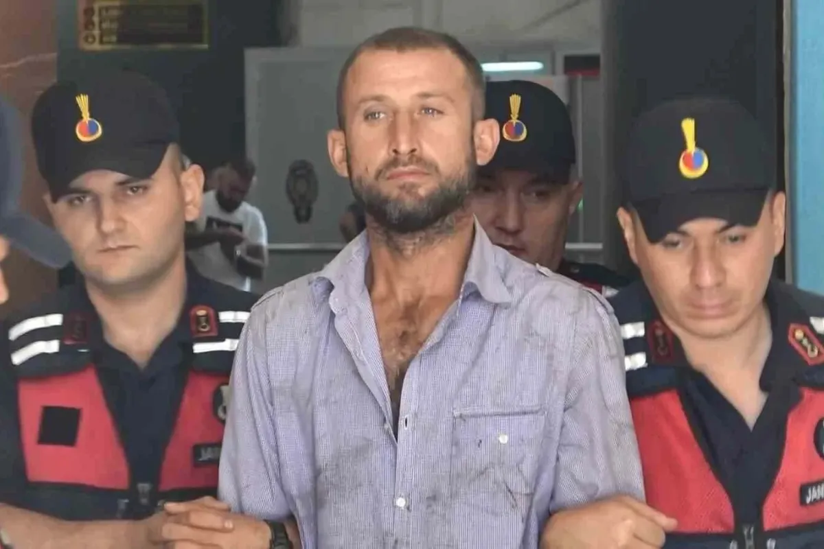 3 ay önce ormanı yakan sanığa tahliye kararı
