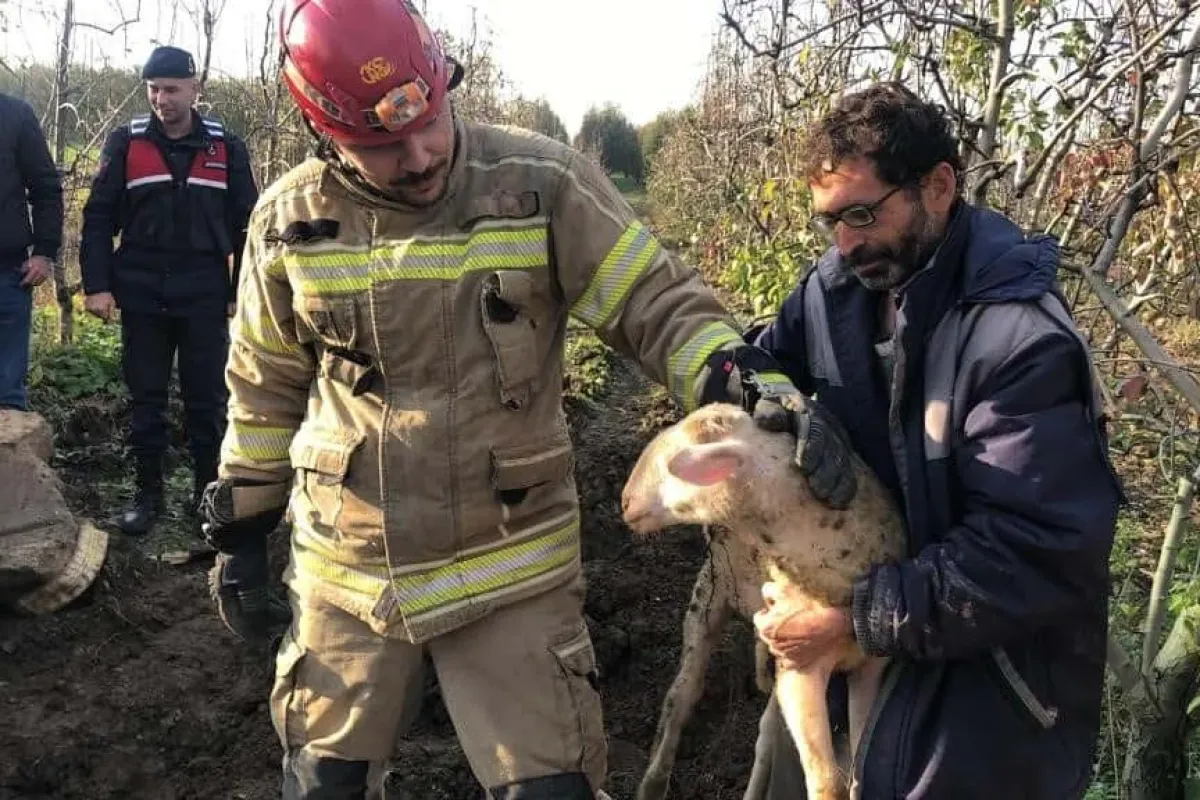 Su kuyusunda 4 gün mahsur kalan kuzuyu itfaiye ekipleri kurtardı