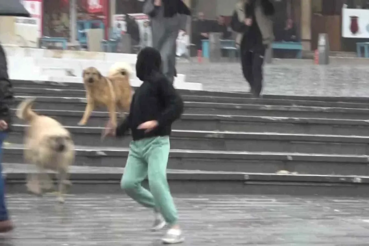 İnegöl'de sağanak yağış etkili oldu, yarın Uludağ'a kar geliyor