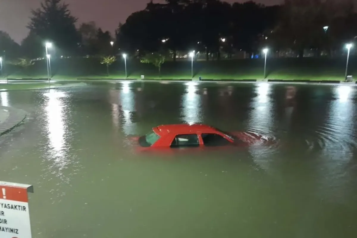 Park halindeki aracını çıkarmak isterken gölete düştü