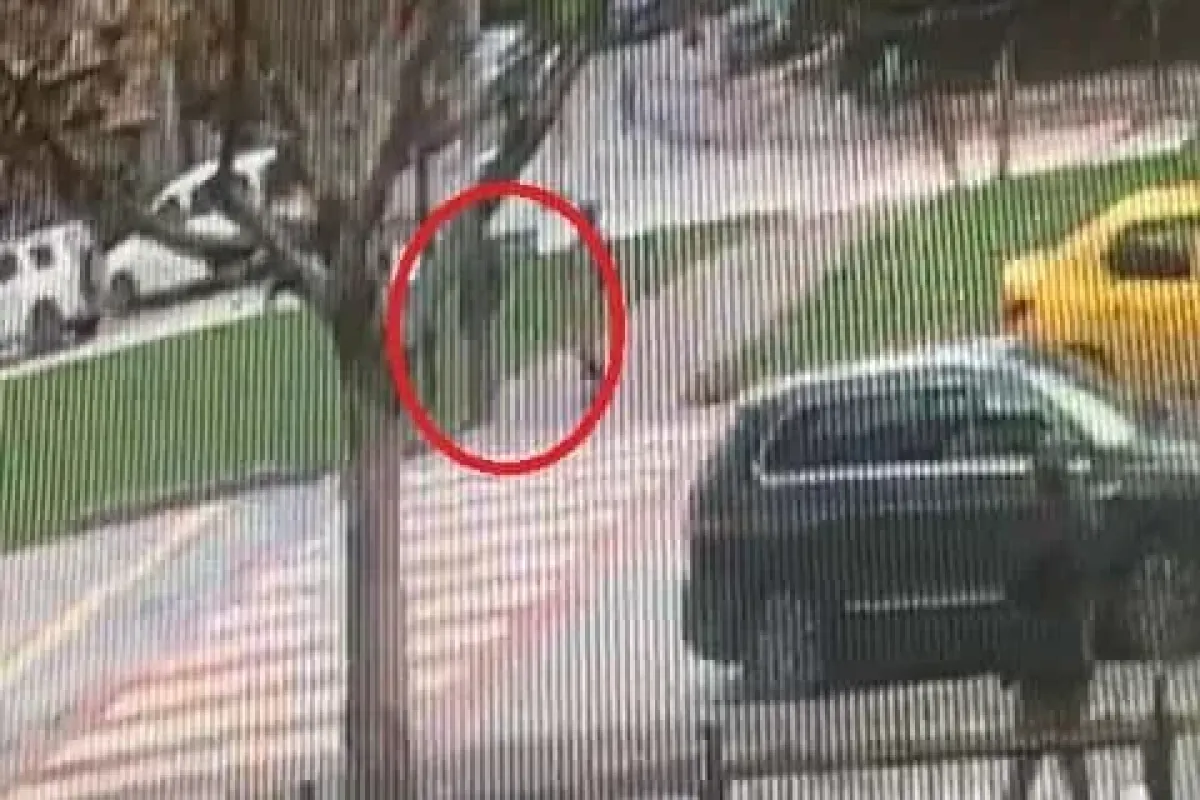 Yaya geçidinde ölümüne sürdü...Yaya böyle havalandı