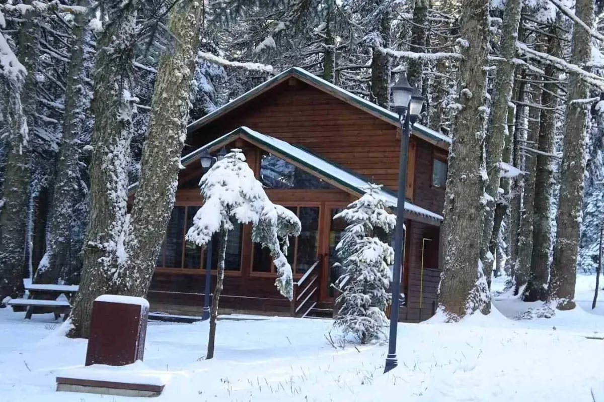 Uludağa kar yağdı, Orman Evlerine ilgi arttı