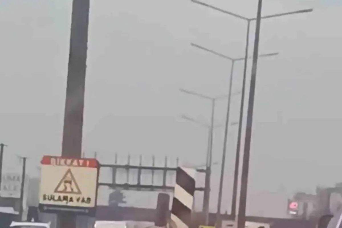 Bursada koyun sürüsü çevre yoluna çıktı, trafikte uzun kuyruklar oluştu