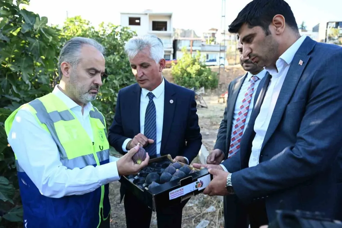 Toprak, Bursa Büyükşehirle bereketleniyor