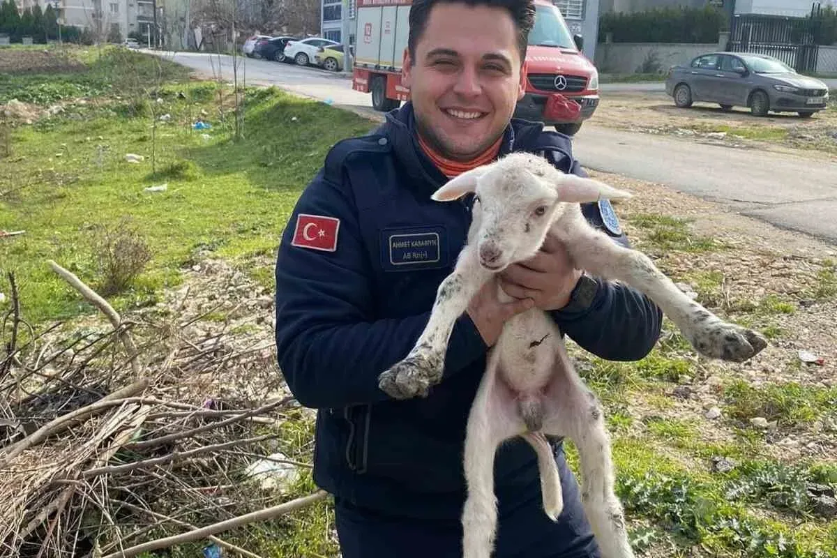 Kuyuya düşen kuzuyu itfaiye kurtardı