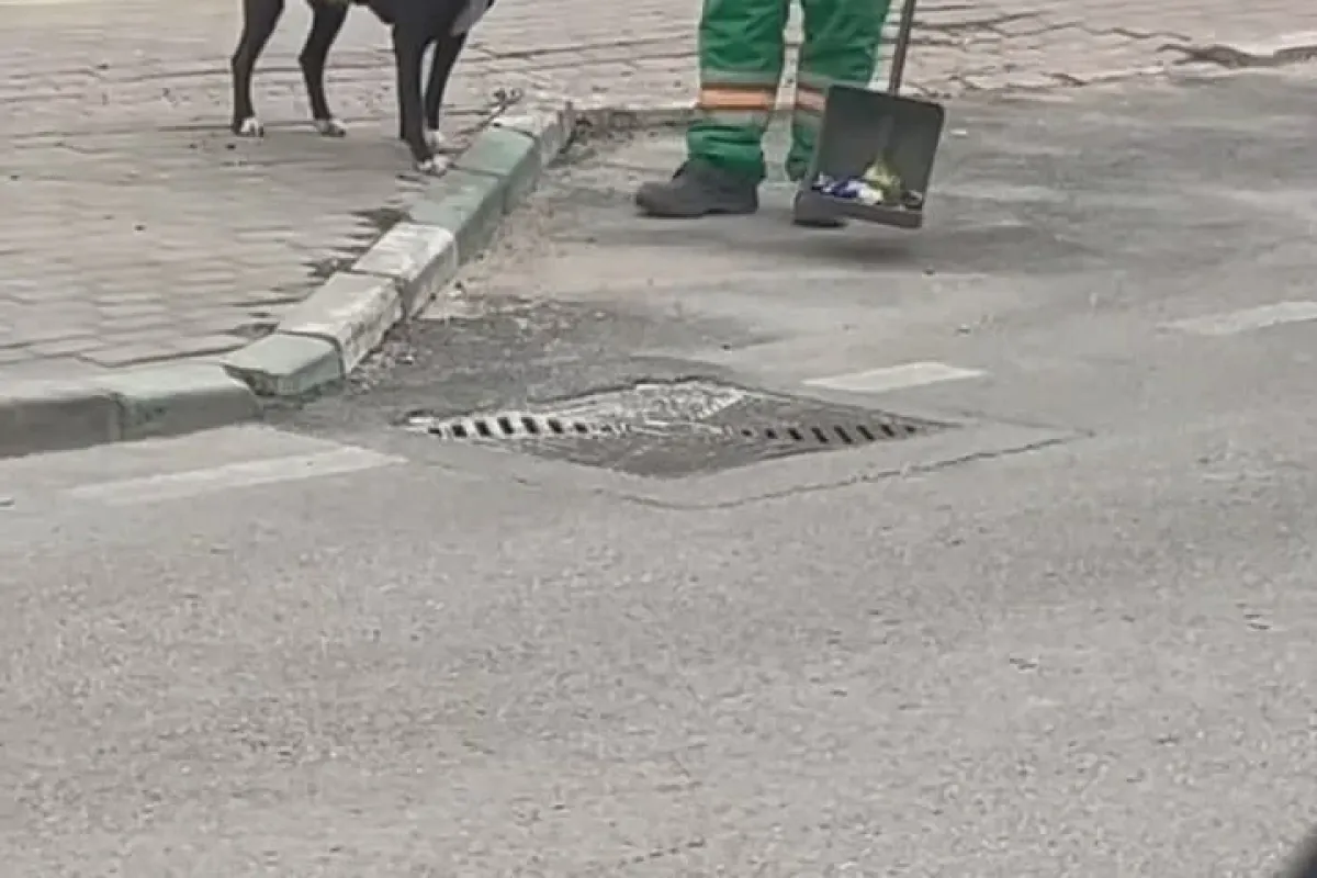 Sokak köpeğinin sırtını süpürge ile temizleyen görevli yüzleri gülümsetti