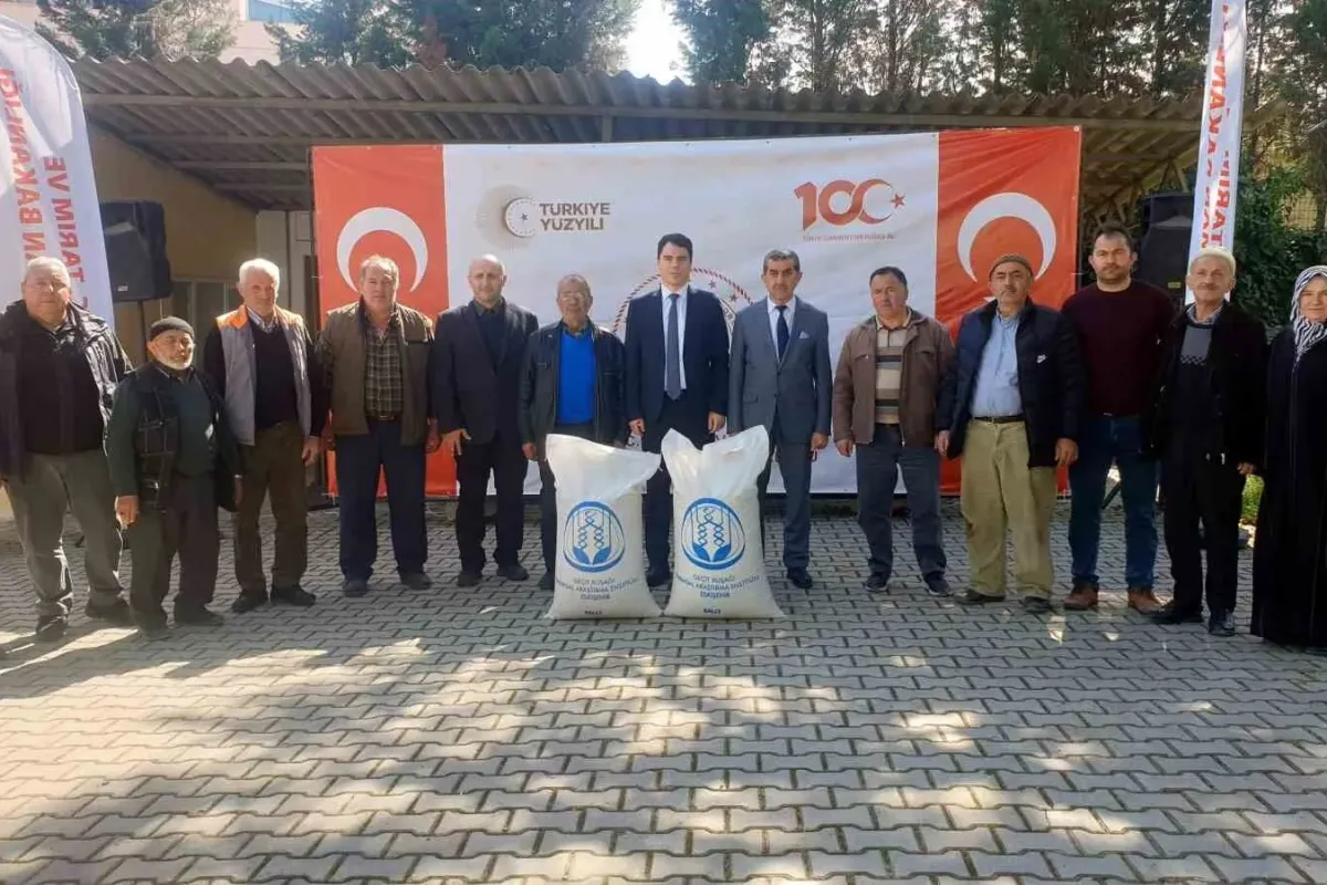Orhanelide çiftçilere yağlık aspir tohumu dağıtıldı