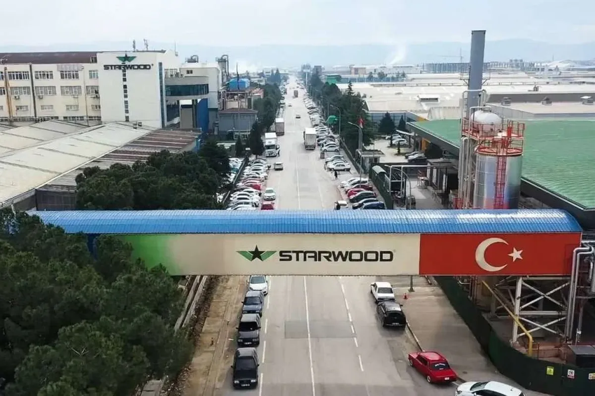 Starwood: 4 Nesildir Orman Ürünlerinde Liderlik