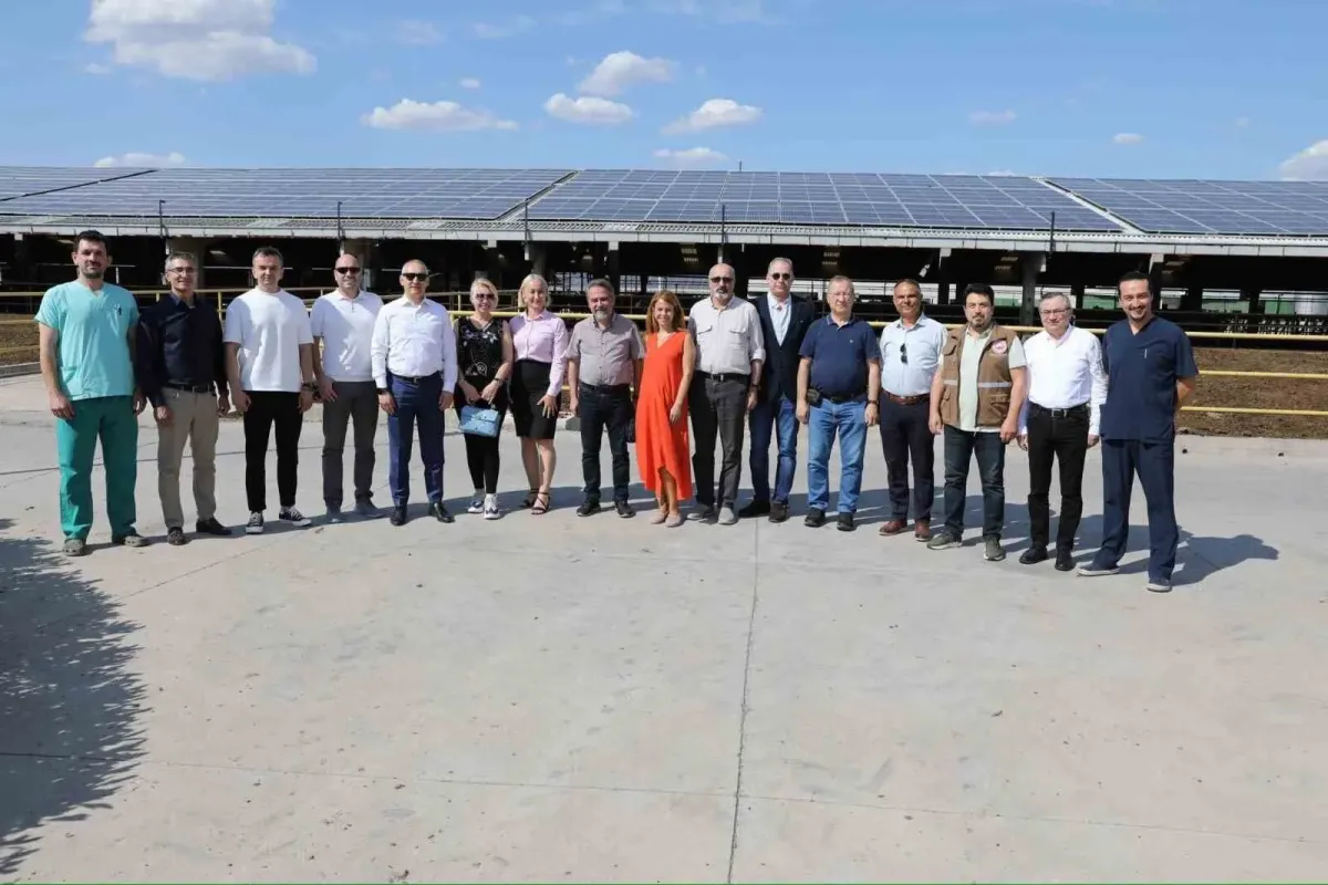 Türkiyede yılda 21 milyon ton süt üretiliyor