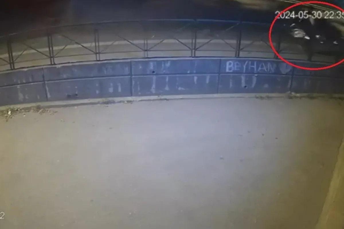 Kontrolden çıkan otomobil ağaca çarptı, yaya ezilmekten son anda kurtuldu