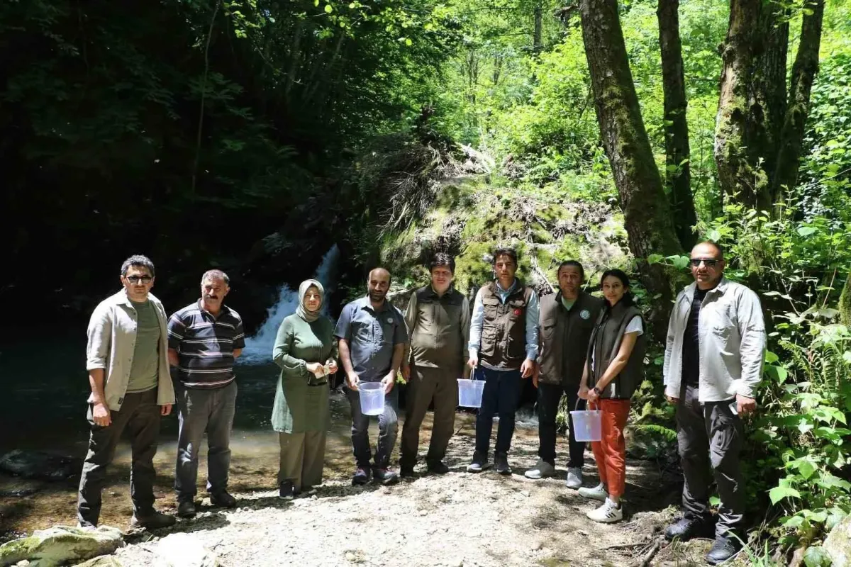 İnegöl ve İznik'te 12 bin alabalık salımı yapıldı