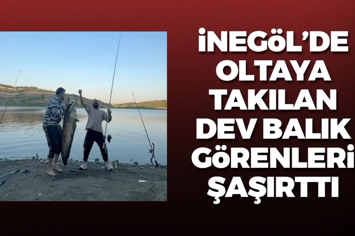 İnegöl'de oltaya takılan dev balık görenleri şaşırttı
