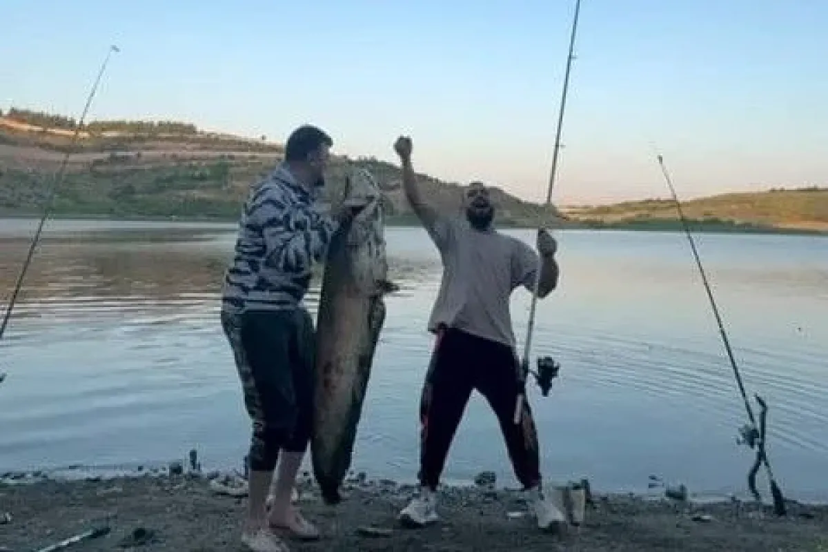 Bursada iki arkadaş oltayla 165 santimetrelik balık tuttu