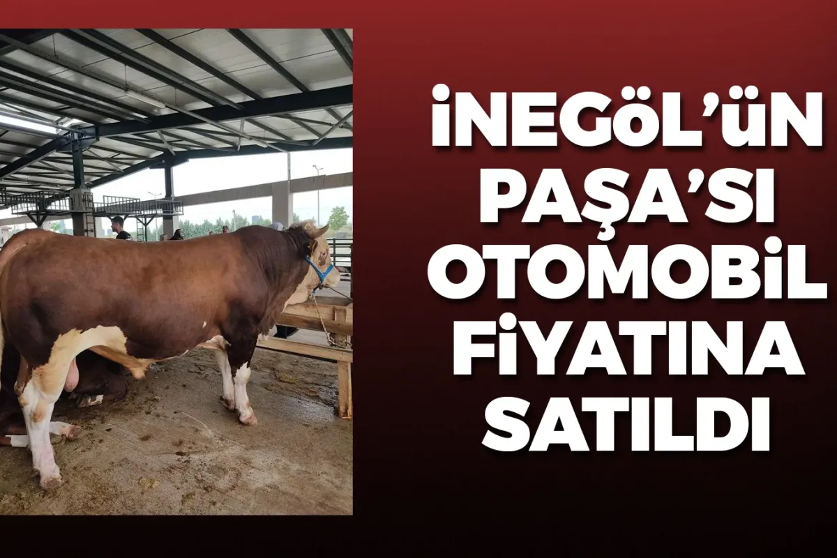 İnegöl'ün Paşa'sı otomobil fiyatına satıldı