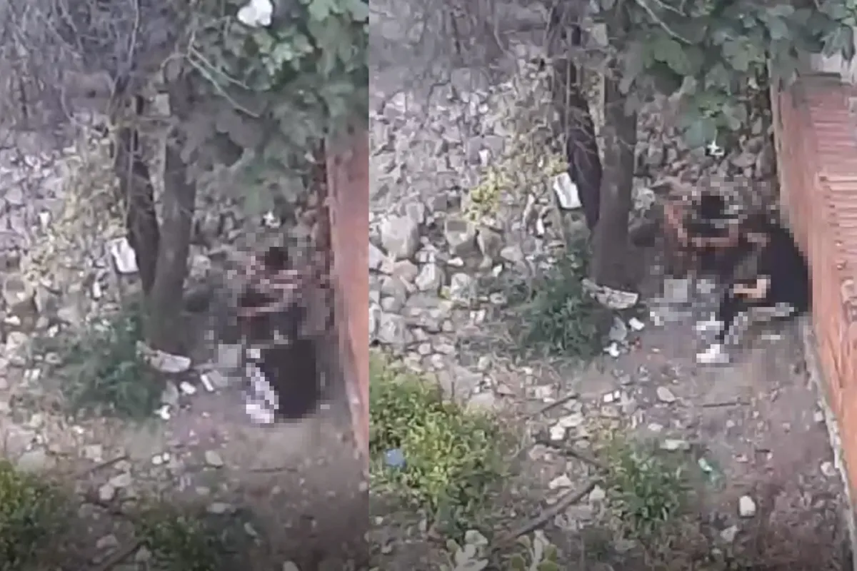 Sinanbey Mahallesi sakinlerinin korkulu rüyaları oldular