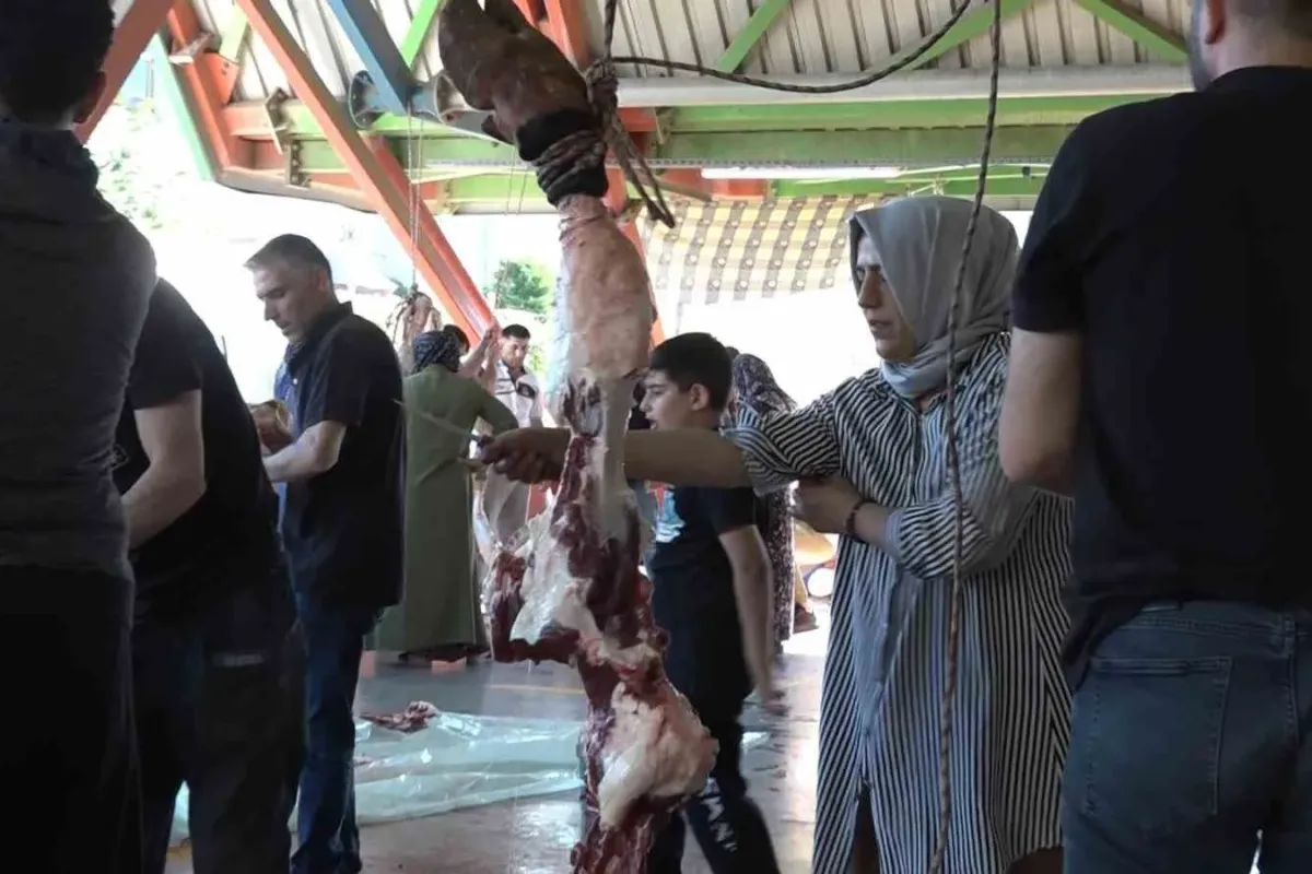Erkekleri aratmayan kadın kasaplar