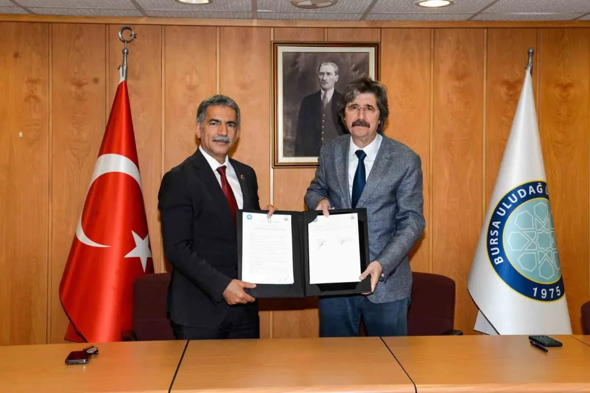 BUÜ ile Gemlik Belediyesi arasında Zeytin işbirliği
