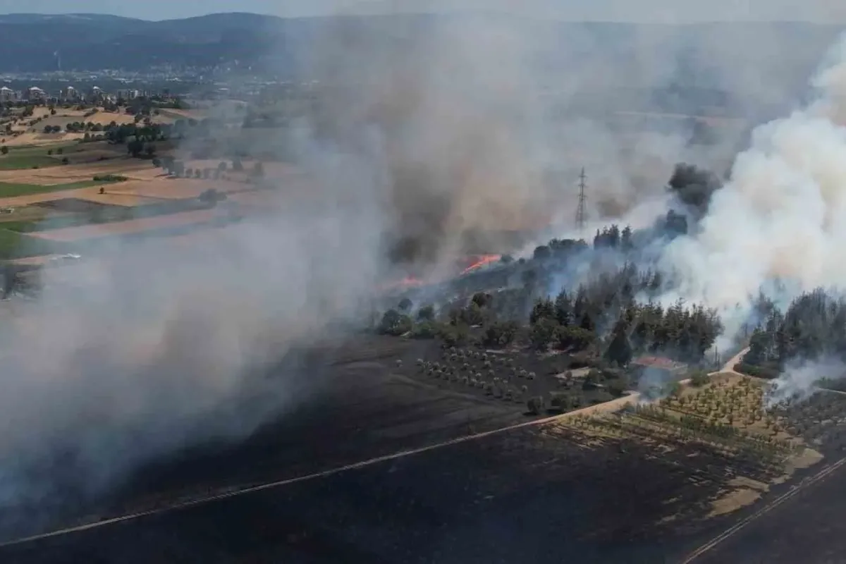 Bursadaki yangın ormana sıçradı