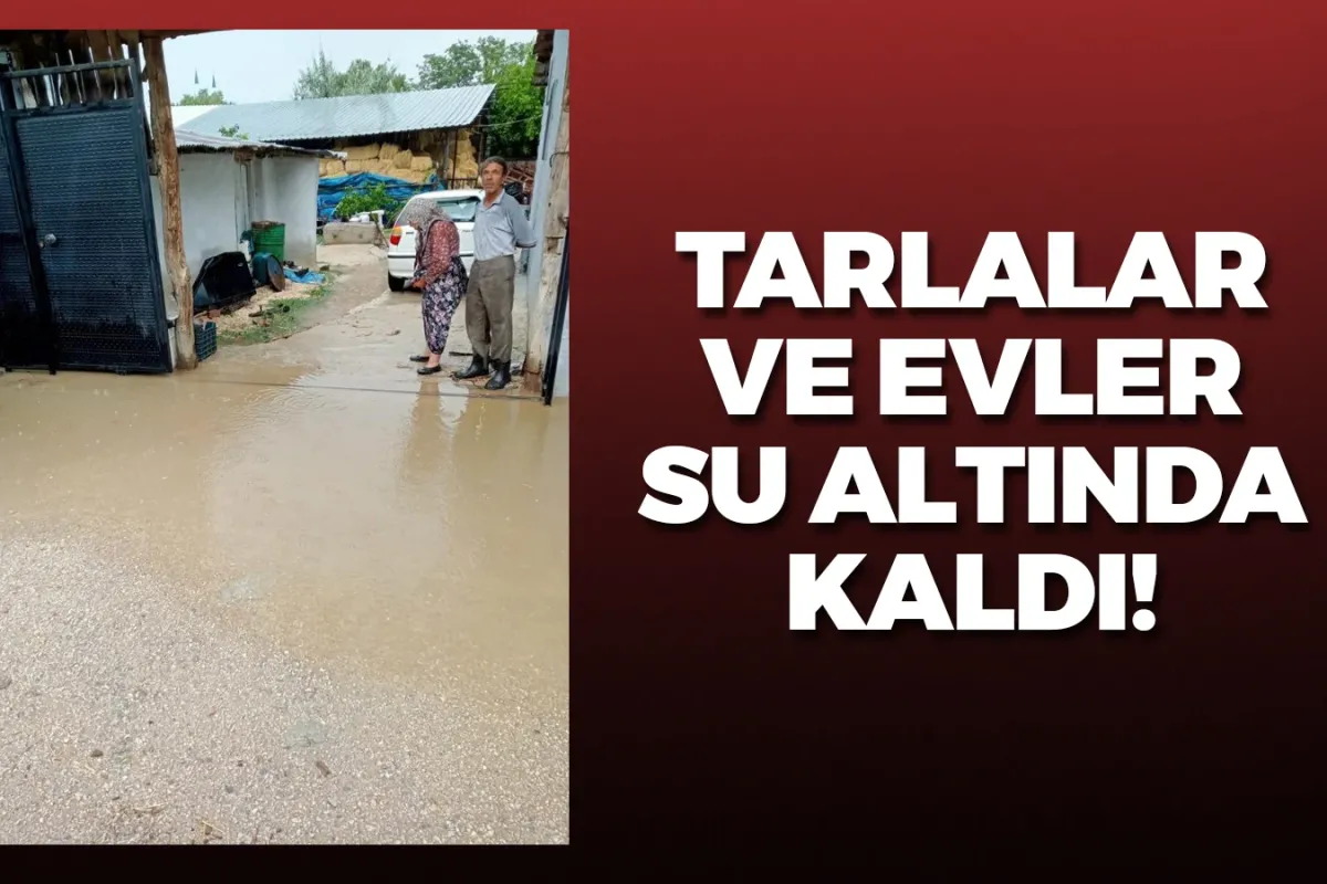 Ev ve tarlalar sular altında kaldı