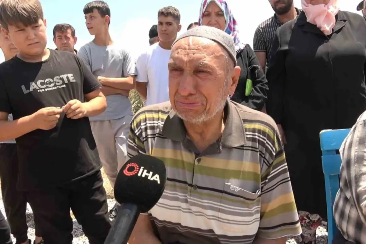 Köylüler hıçkıra hıçkıra ağladı, yüzlerce ağacı katlettiler