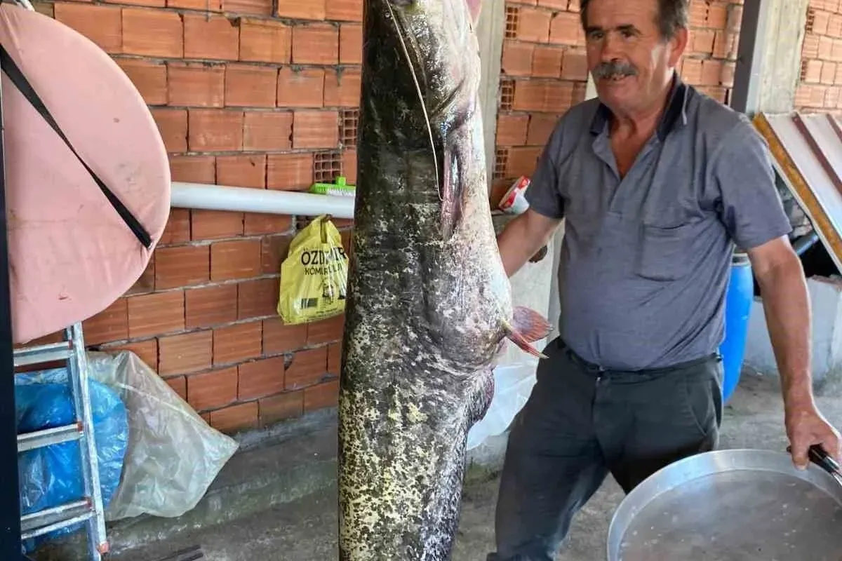 Bursada barajda 87 kilogramlık balık yakalandı