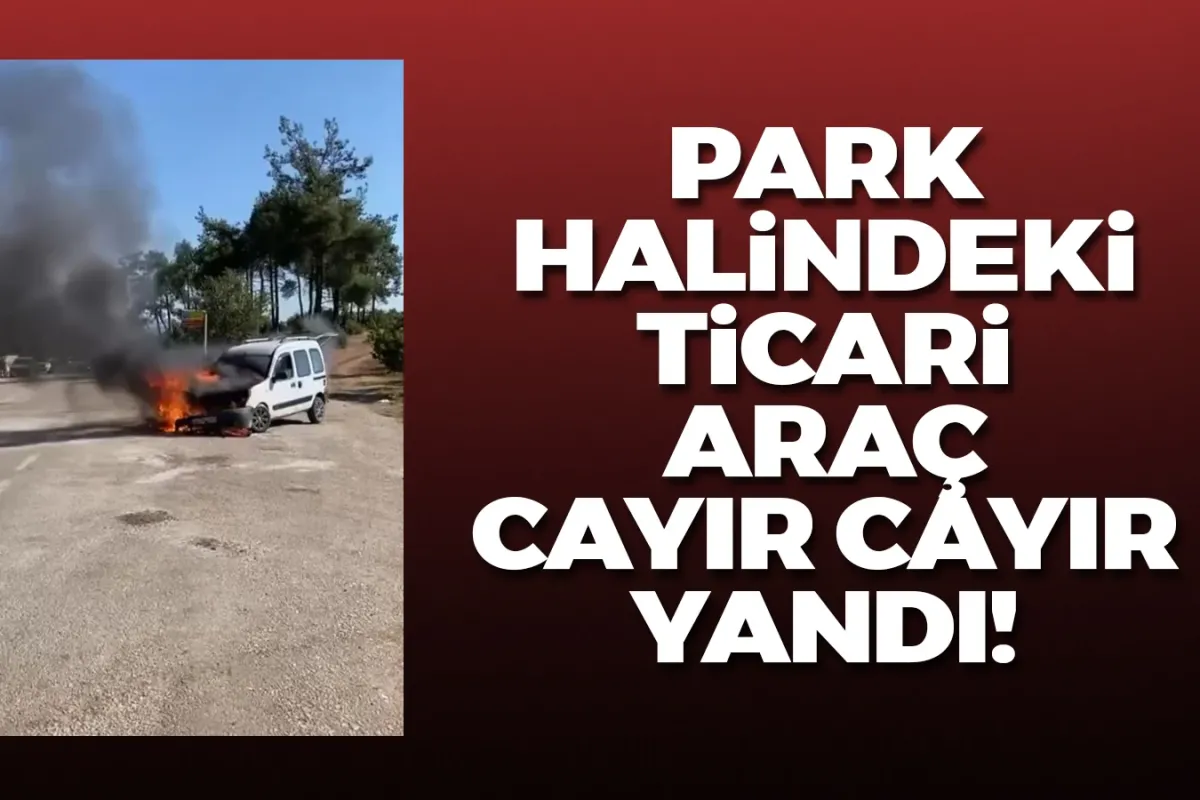 Park halindeki hafif ticari araç alev alev yandı