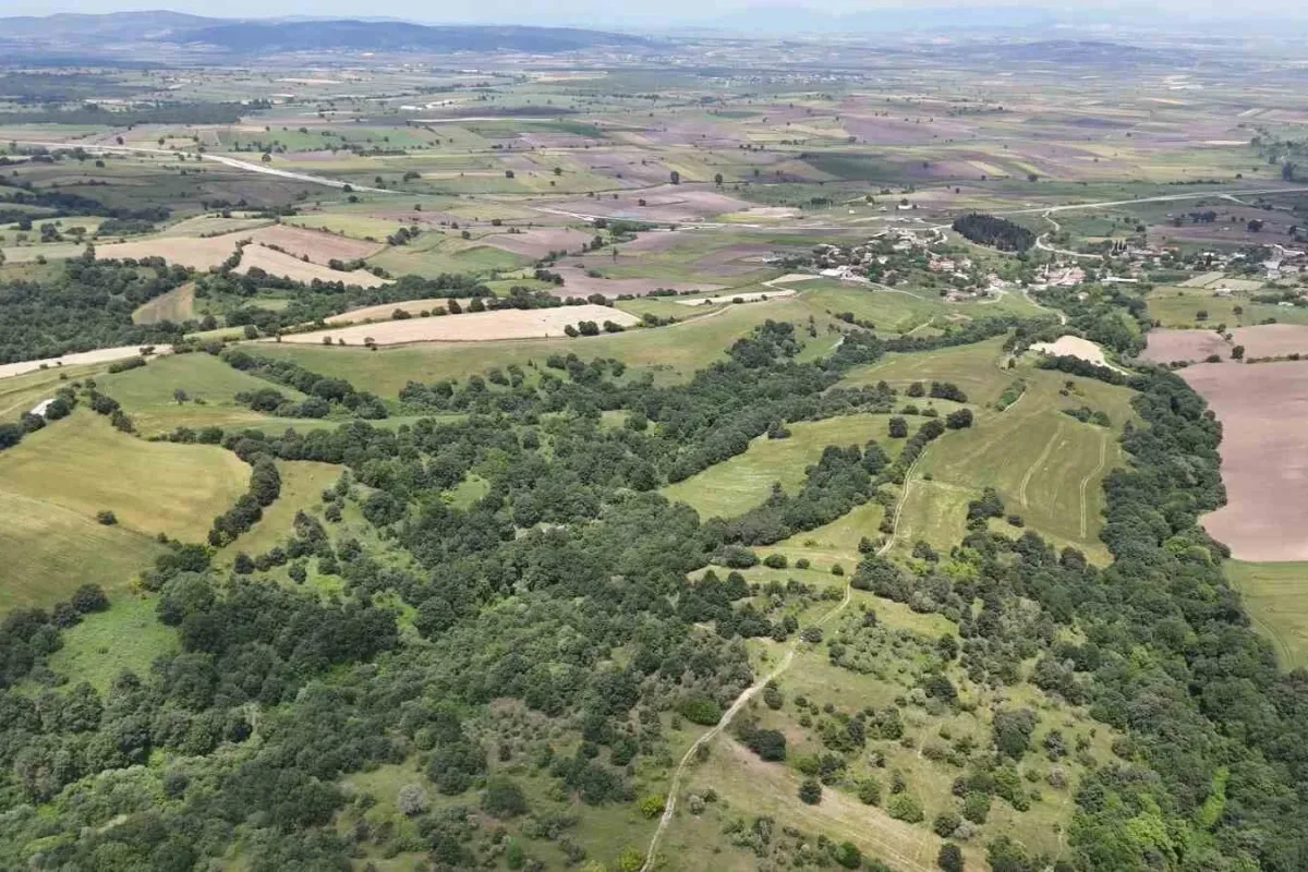 2025in en trend yatırım aracı arazi olacak