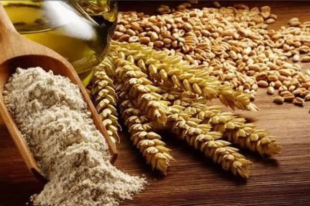 Büyükşehir Belediyesi çiftçinin buğdayını alacak