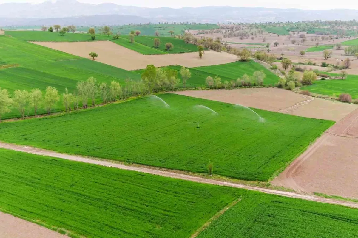 Ekilmeyen arazi sahipleri dikkat! Resmi gazetede yayınlandı