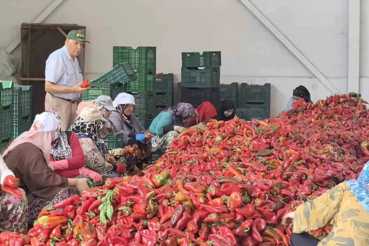 İnegöl'de kadınların büyük başarısı