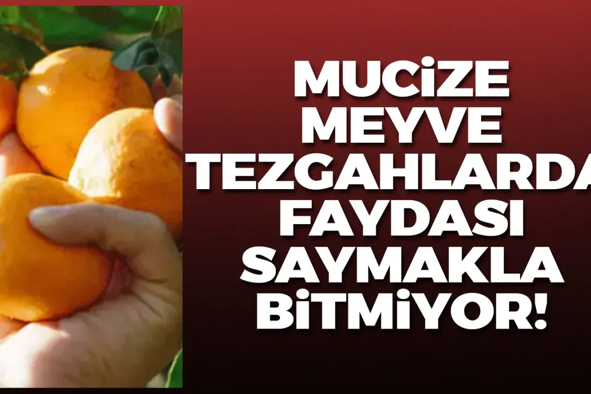 Mucize meyve tezgahlarda! Faydaları saymakla bitmiyor
