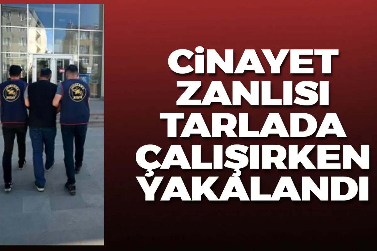 Cinayet zanlısı 11 yıl sonra tarlada çalışırken yakalandı