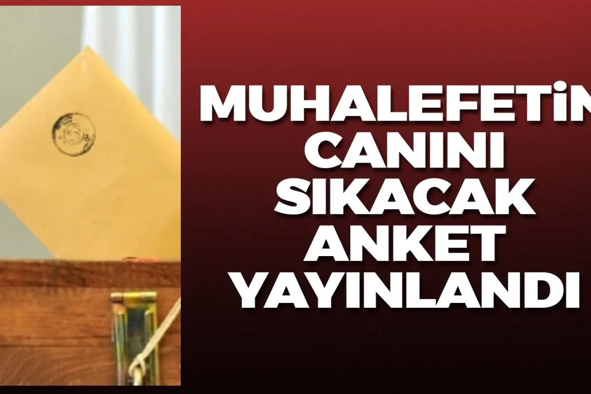Bu anket muhalefetin canını sıkacak!