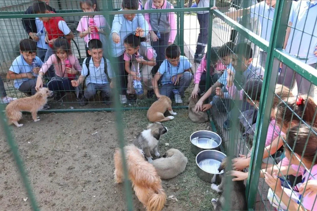 Hayvanları Koruma Gününe Renkli Kutlama