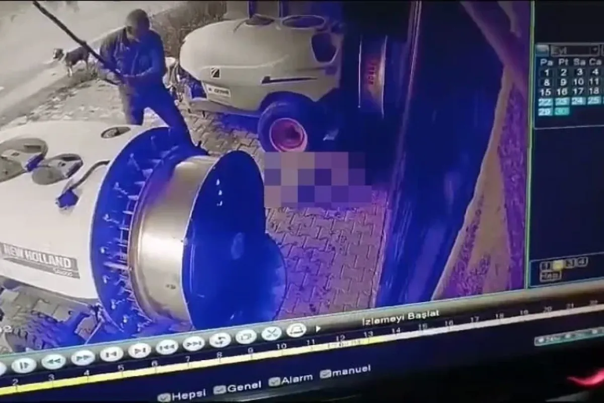 Köpeğe Şiddet Uygulayan Şahıs Adli Kontrolle Serbest Kaldı