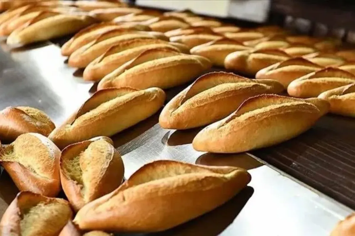 Ekmeğe zam sinyali! Bu şekilde muhafaza etmek zor