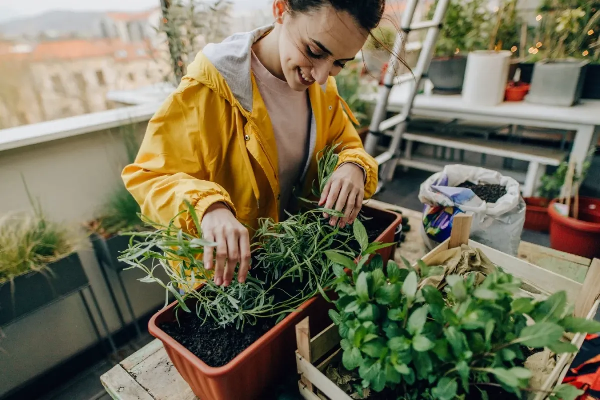 Balkonunuzda Minik Bir Bahçe Oluşturmanın Temel Adımları
