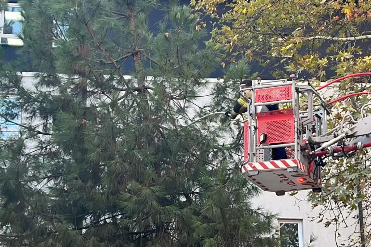 İnegöl'de sabahın ilk ışıklarında itfaiyeden kurtarma operasyonu