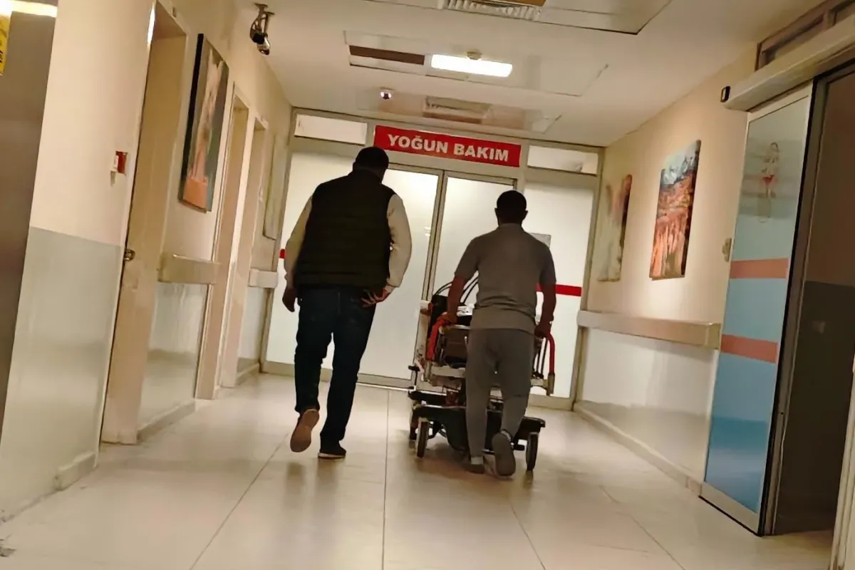 Köpeklerin saldırdığı kadın hastanelik oldu